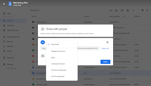 Google Drive allows limiting sharing to specific target groups 1