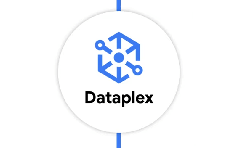 Cách Google Dataplex Có Thể Nâng Cao Kiểm Tra Dữ Liệu Bảo Mật Và Quản Lý Truy Cập