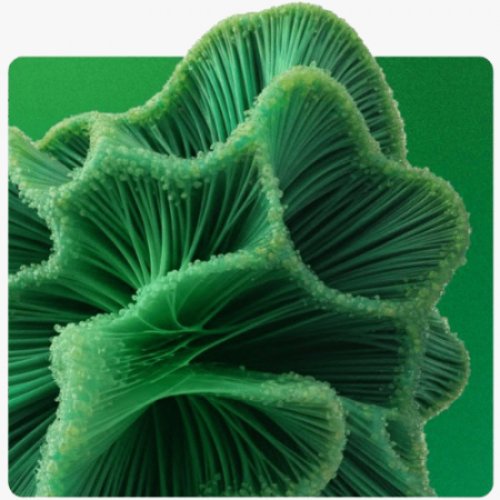 Untitled-1 Untitled-1