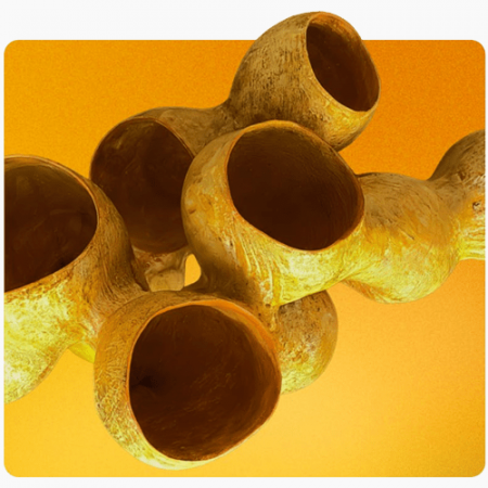 Untitled-1z Untitled-1z